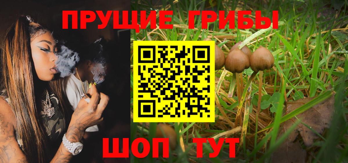 Псилоцибиновые грибы GOLDEN TEACHER Чебаркуль