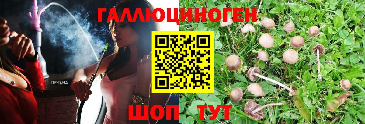 Галлюциногенные грибы мицелий  Вход с VPN  Чебаркуль 